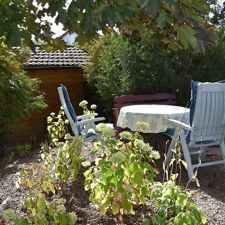 Heidi'S Haeuschen Apartment Schollbrunn Екстериор снимка